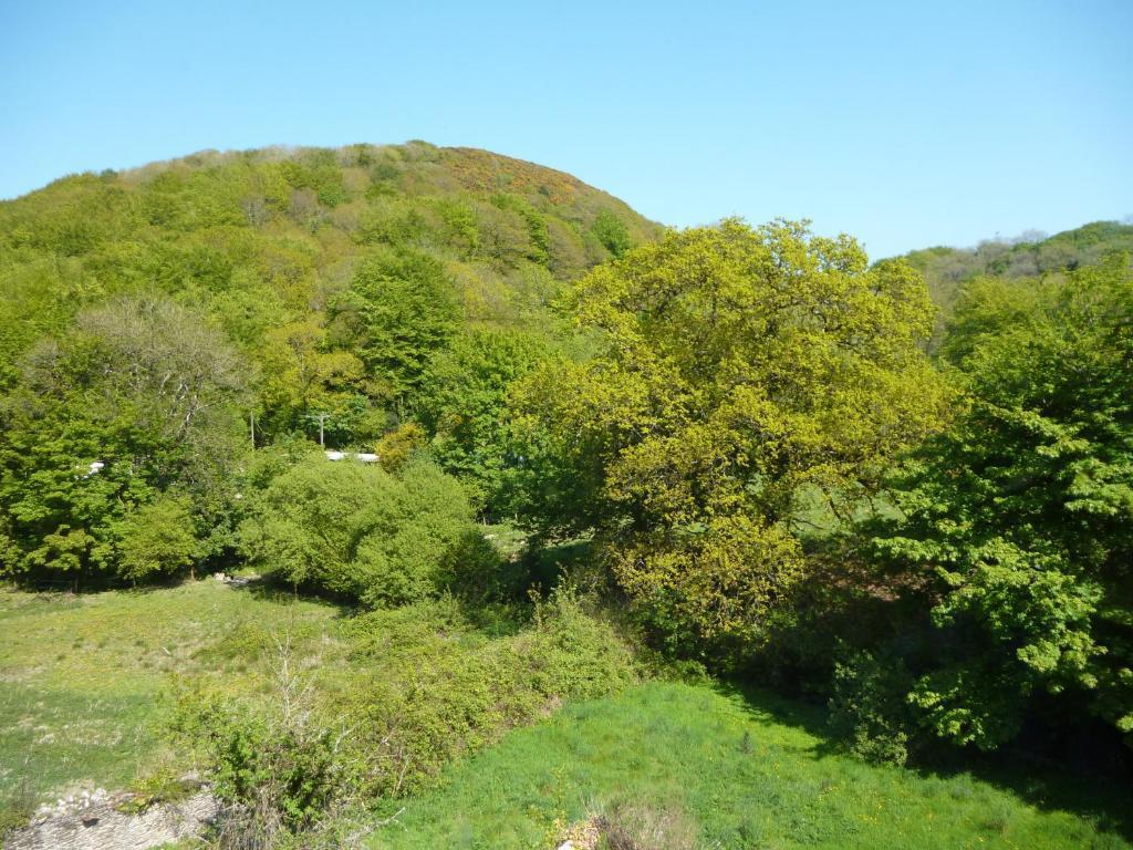Score Valley Country House Ilfracombe Zimmer foto